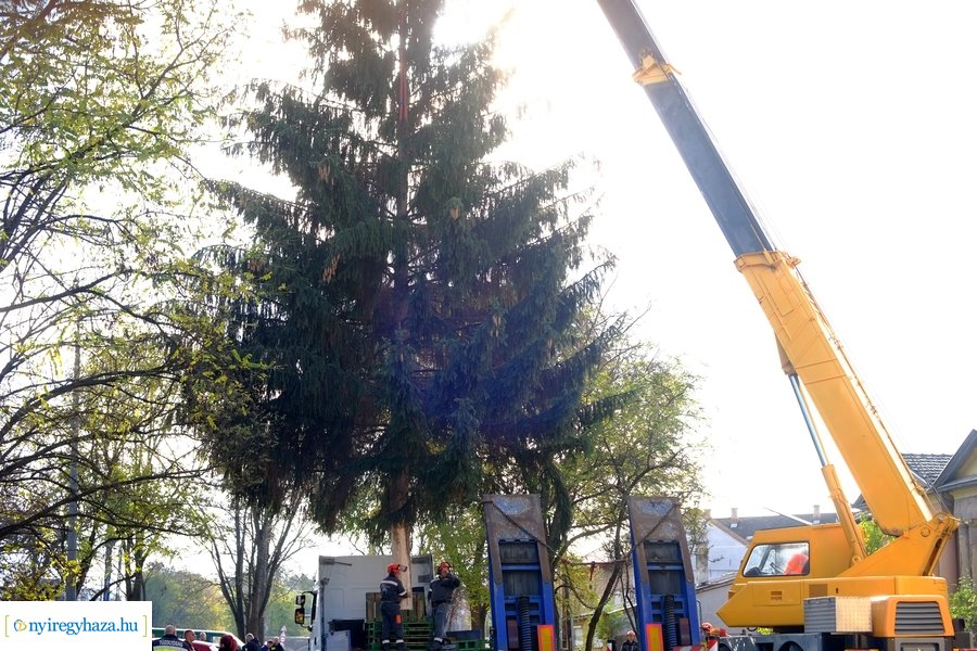 A karácsonyfa útja 2022