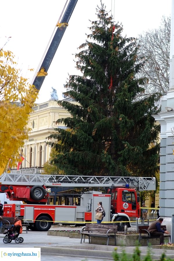 A karácsonyfa útja 2022