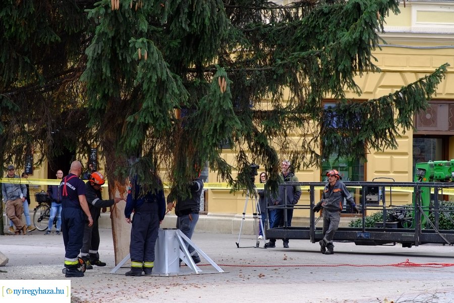 A karácsonyfa útja 2022