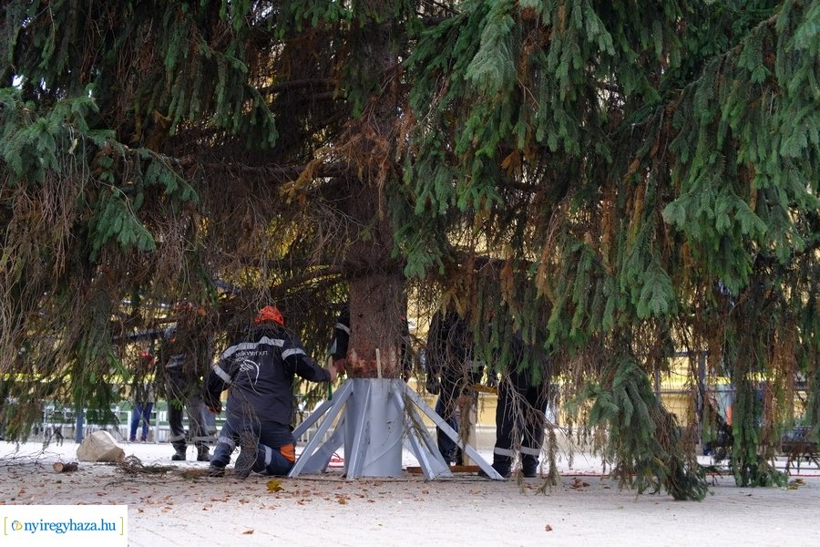 A karácsonyfa útja 2022