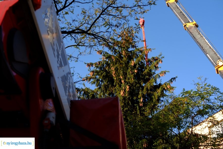 A karácsonyfa útja 2022