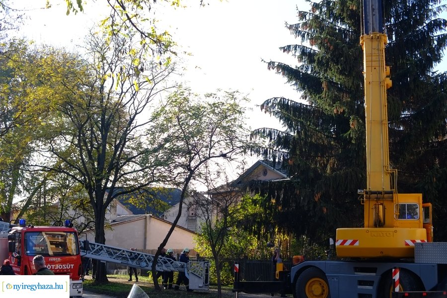 A karácsonyfa útja 2022