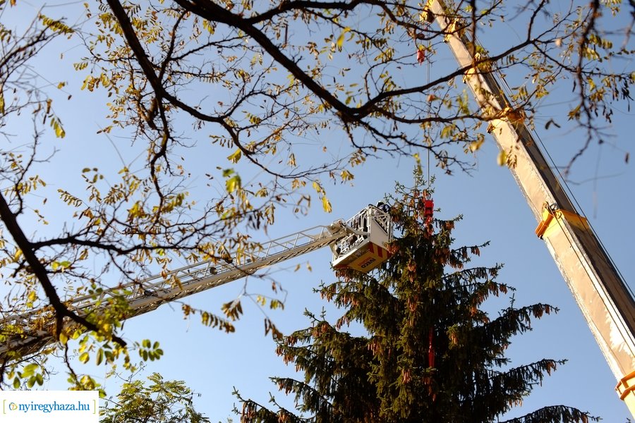 A karácsonyfa útja 2022