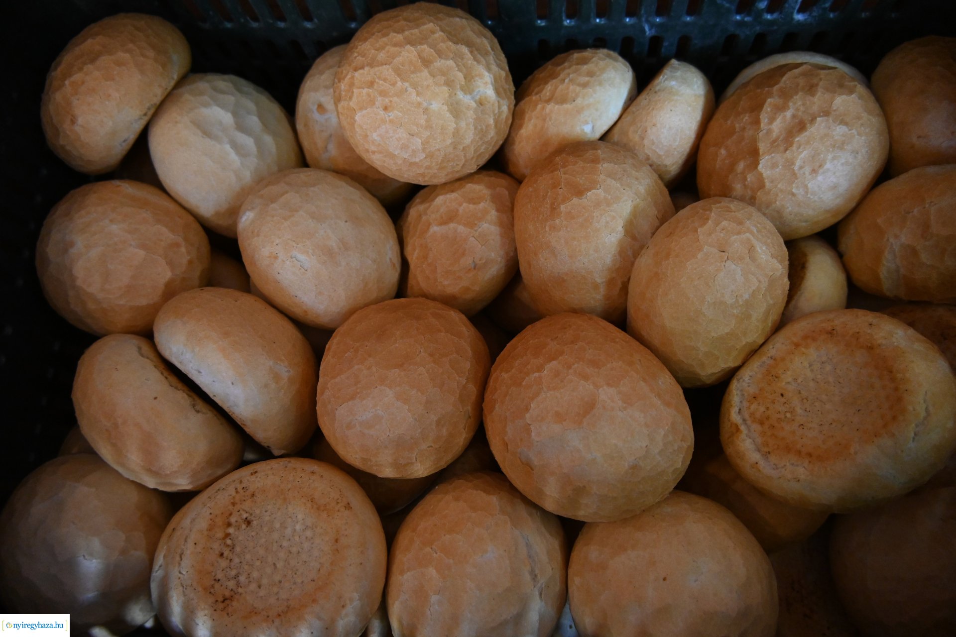 A kenyér világnapja 2024