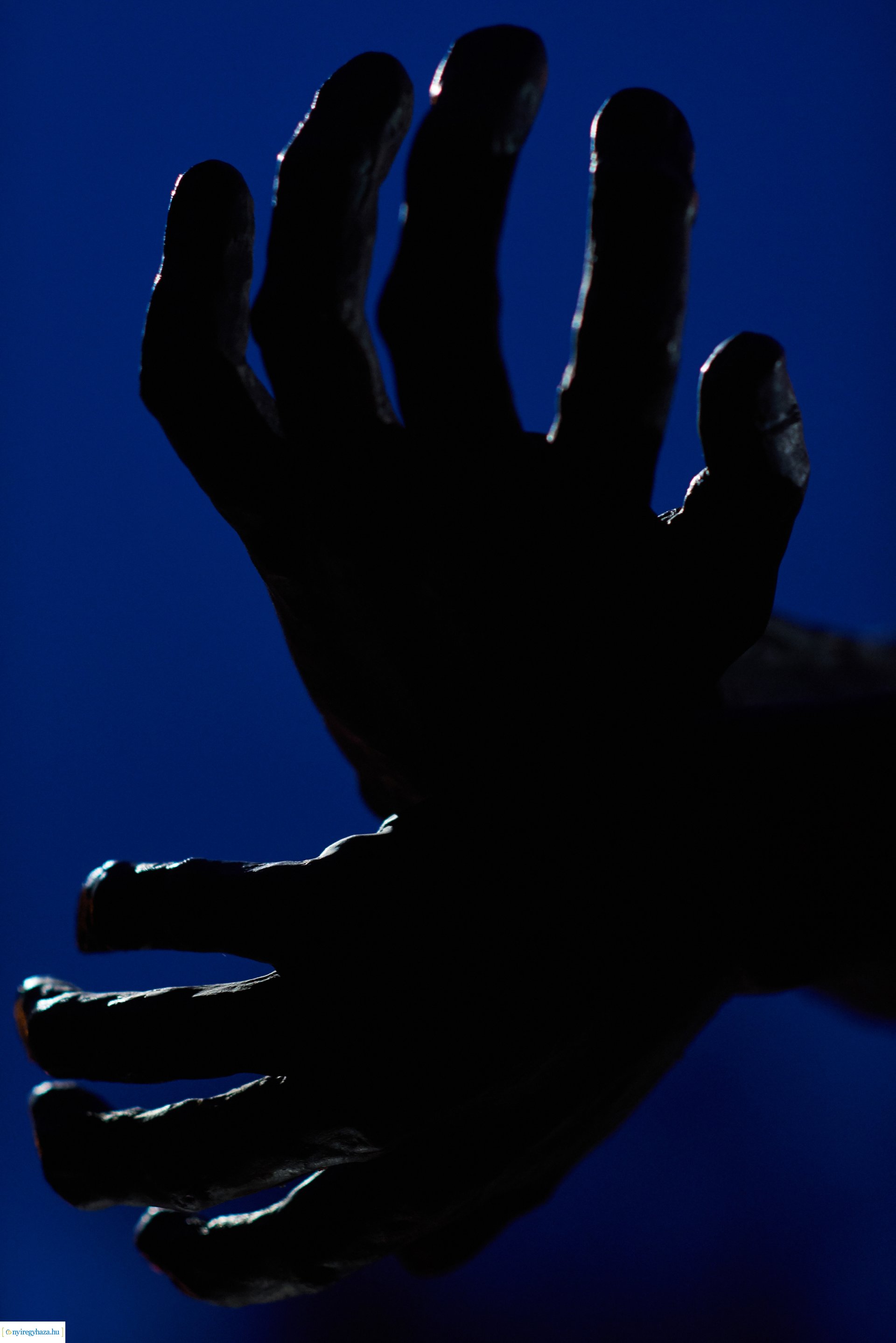  A Kommunizmus Áldozatainak Emléknapja 2020