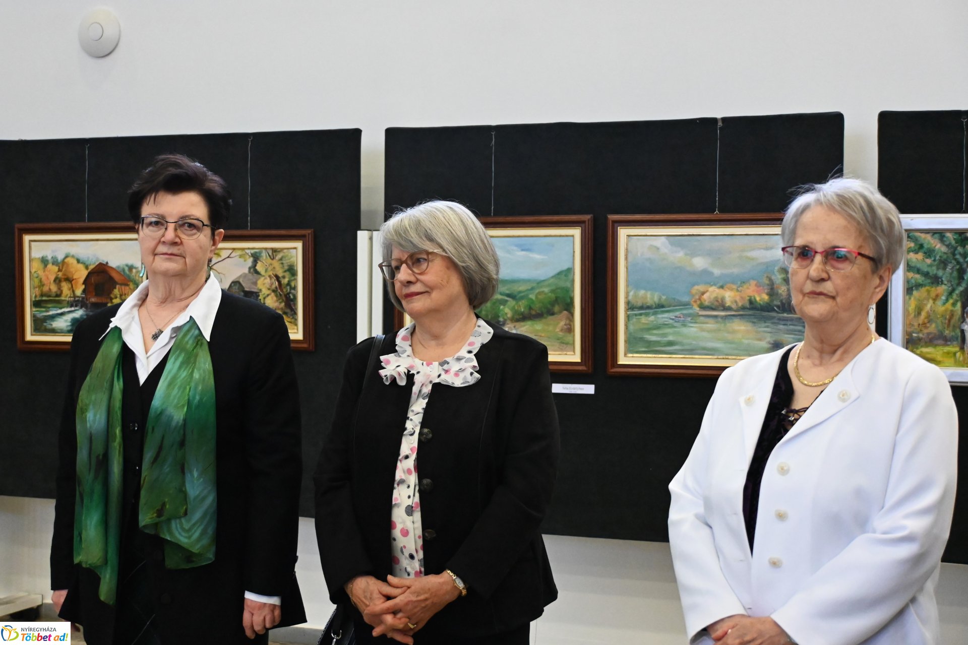 A Magyar Kultúra Napja - SZÍN-KÉP-TÁR kiállításmegnyitó a VMKK-ban