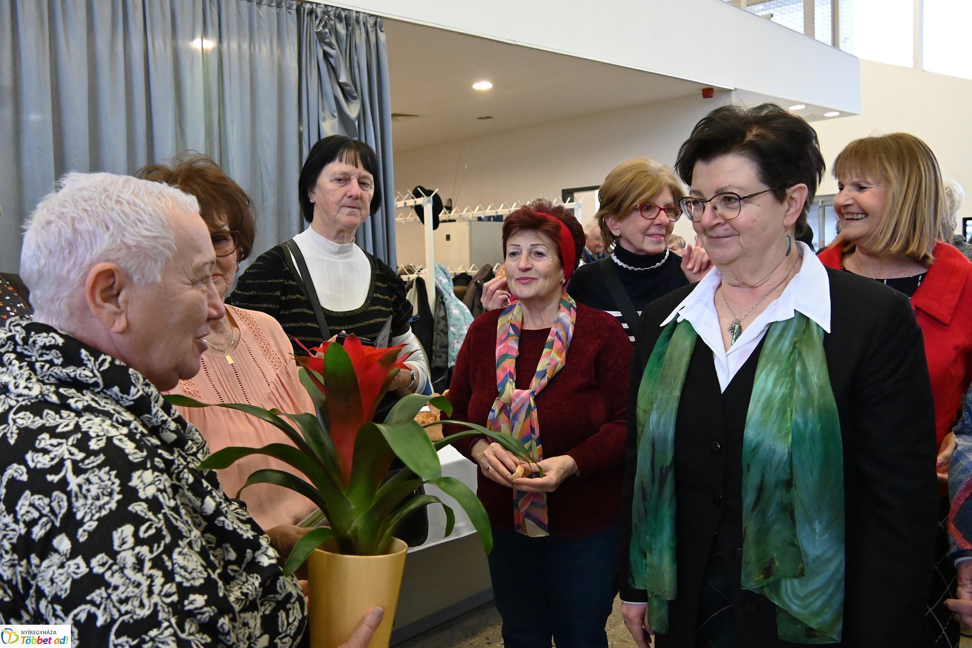 A Magyar Kultúra Napja - SZÍN-KÉP-TÁR kiállításmegnyitó a VMKK-ban