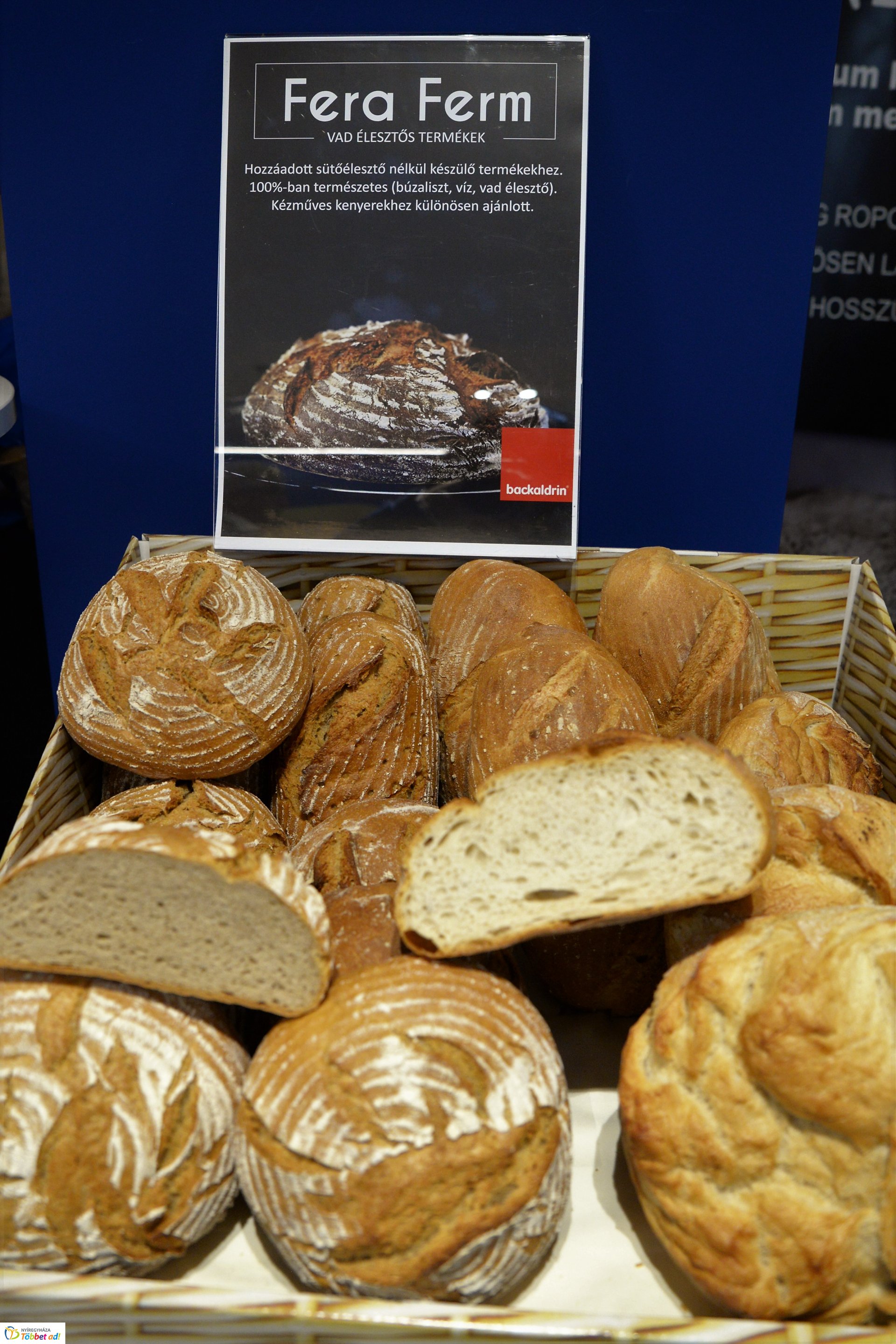 A Magyar Pékszövetség 2019. évi közgyűlése Nyíregyházán