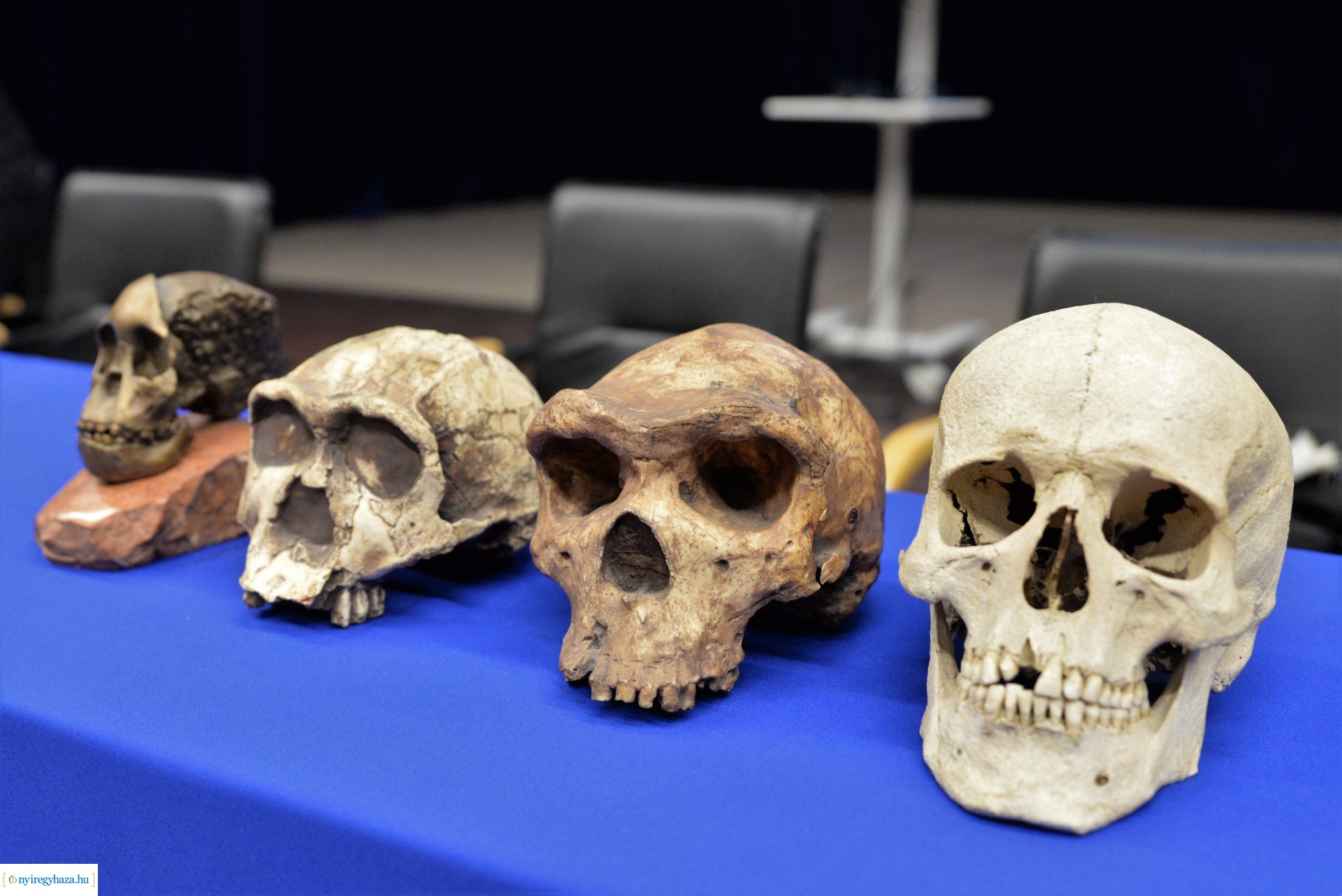 A Magyar Tudomány Ünnepe a Nyíregyházi Egyetemen