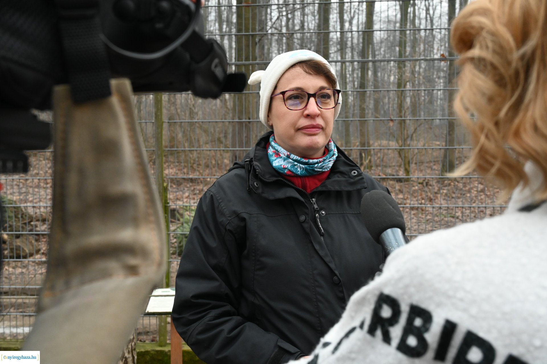 A medvék a tavasz közelségét jelzik a Nyíregyházi Állatparkban