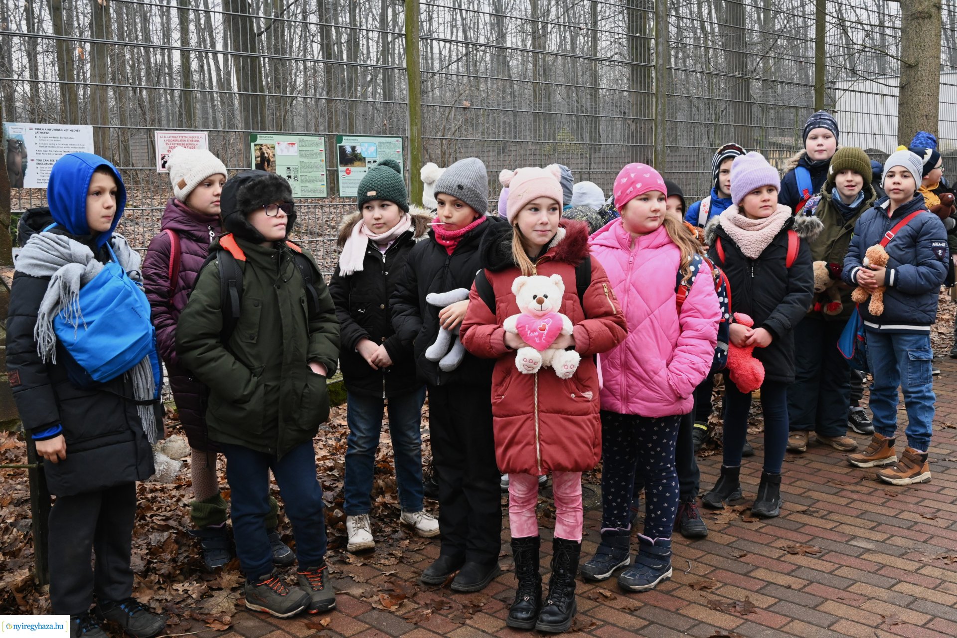 A medvék a tavasz közelségét jelzik a Nyíregyházi Állatparkban