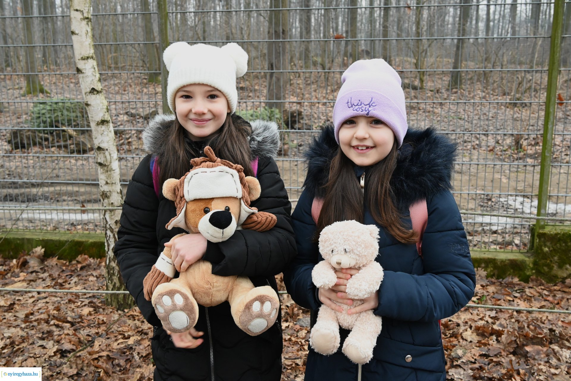 A medvék a tavasz közelségét jelzik a Nyíregyházi Állatparkban