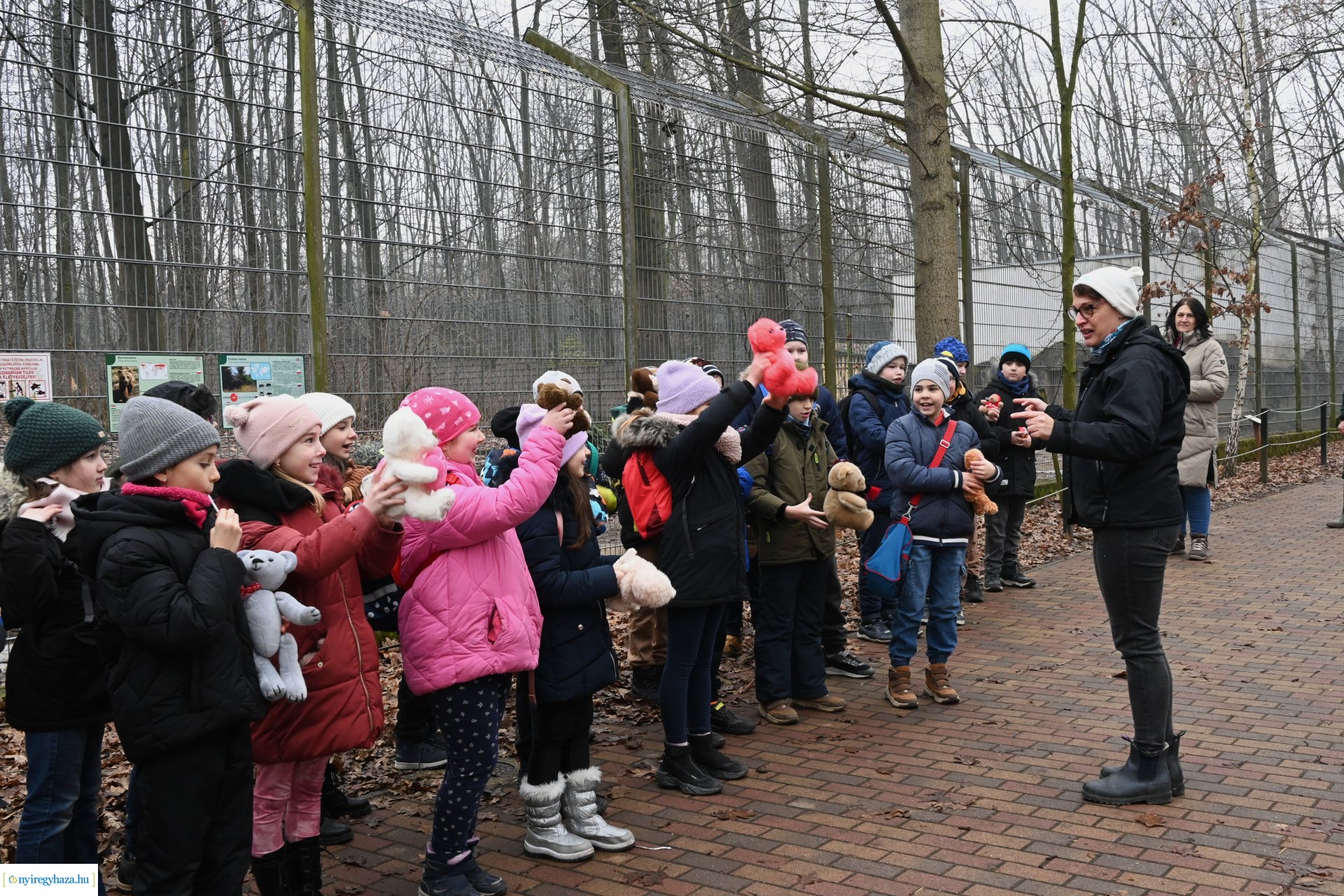 A medvék a tavasz közelségét jelzik a Nyíregyházi Állatparkban