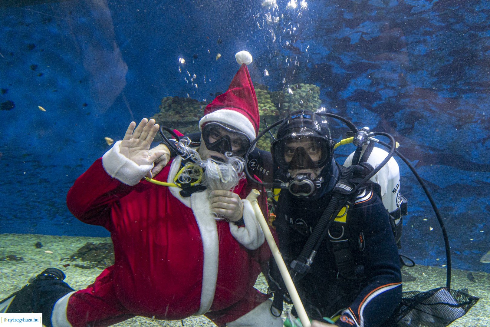 A nagy Mikulás kaland a Nyíregyházi Állatparkban