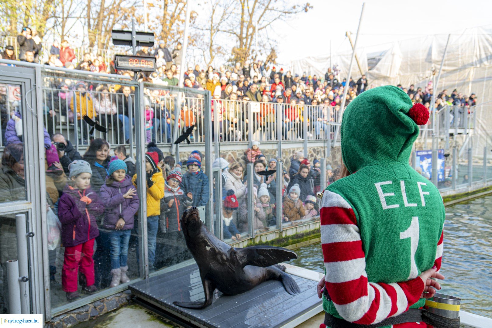  A nagy Mikulás kaland a Nyíregyházi Állatparkban
