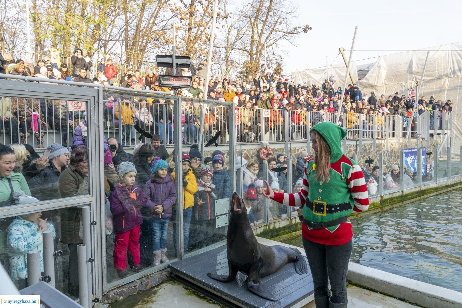  A nagy Mikulás kaland a Nyíregyházi Állatparkban