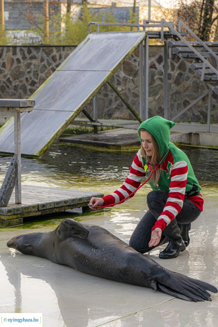  A nagy Mikulás kaland a Nyíregyházi Állatparkban