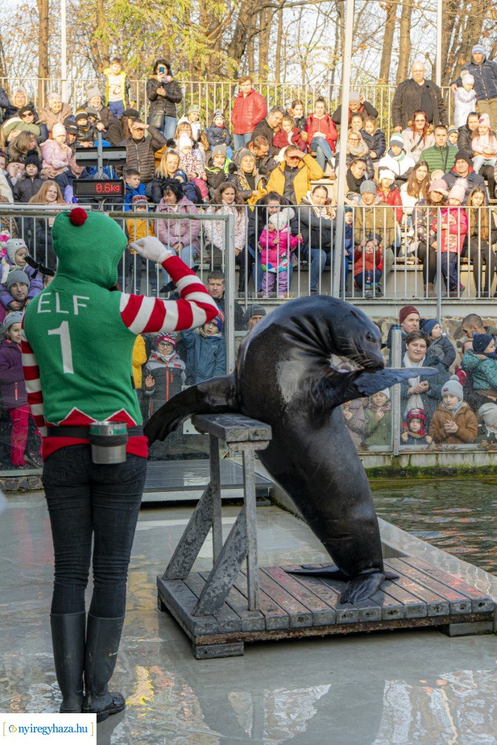  A nagy Mikulás kaland a Nyíregyházi Állatparkban