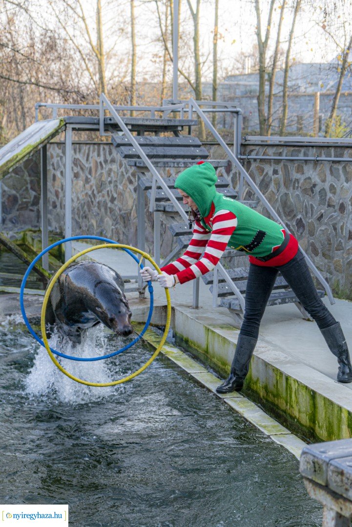 A nagy Mikulás kaland a Nyíregyházi Állatparkban