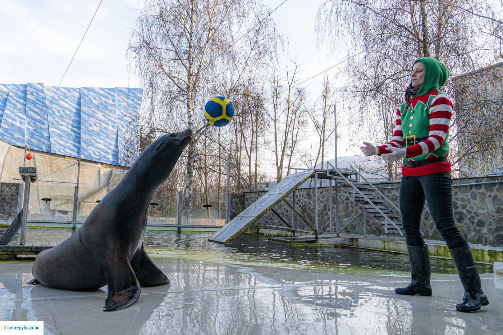 A nagy Mikulás kaland a Nyíregyházi Állatparkban
