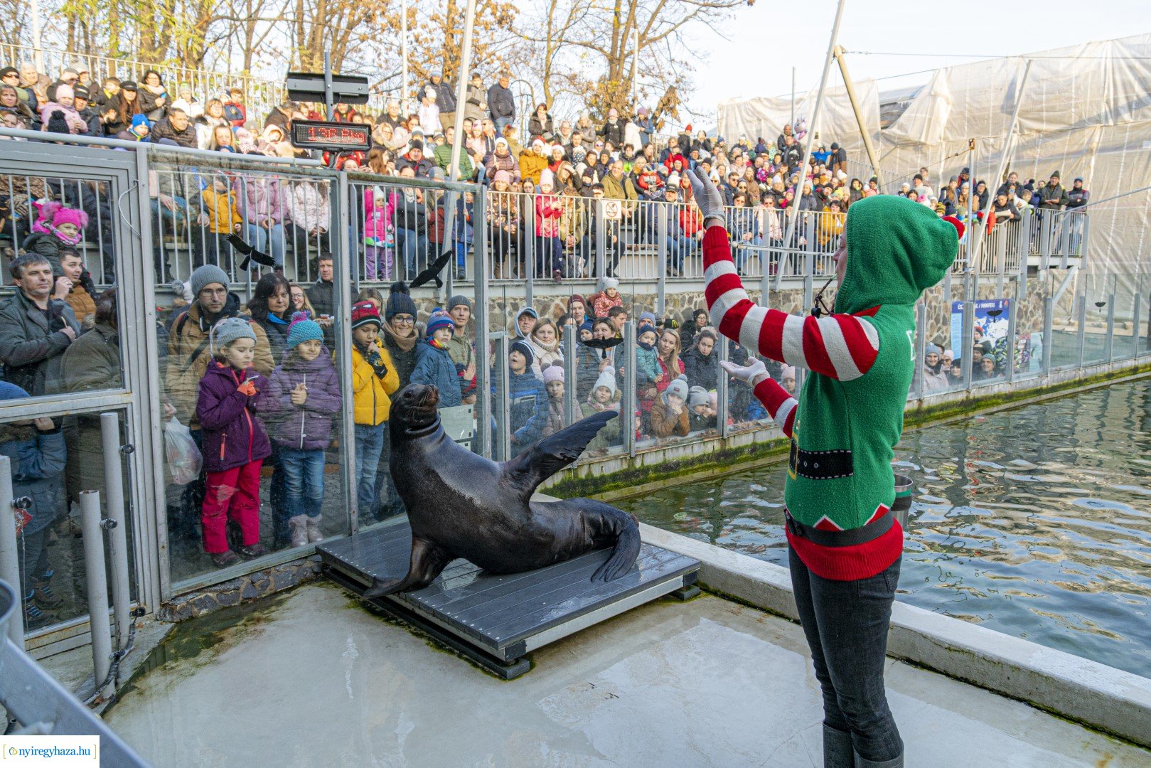  A nagy Mikulás kaland a Nyíregyházi Állatparkban