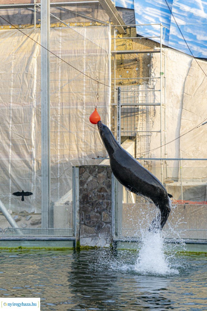  A nagy Mikulás kaland a Nyíregyházi Állatparkban