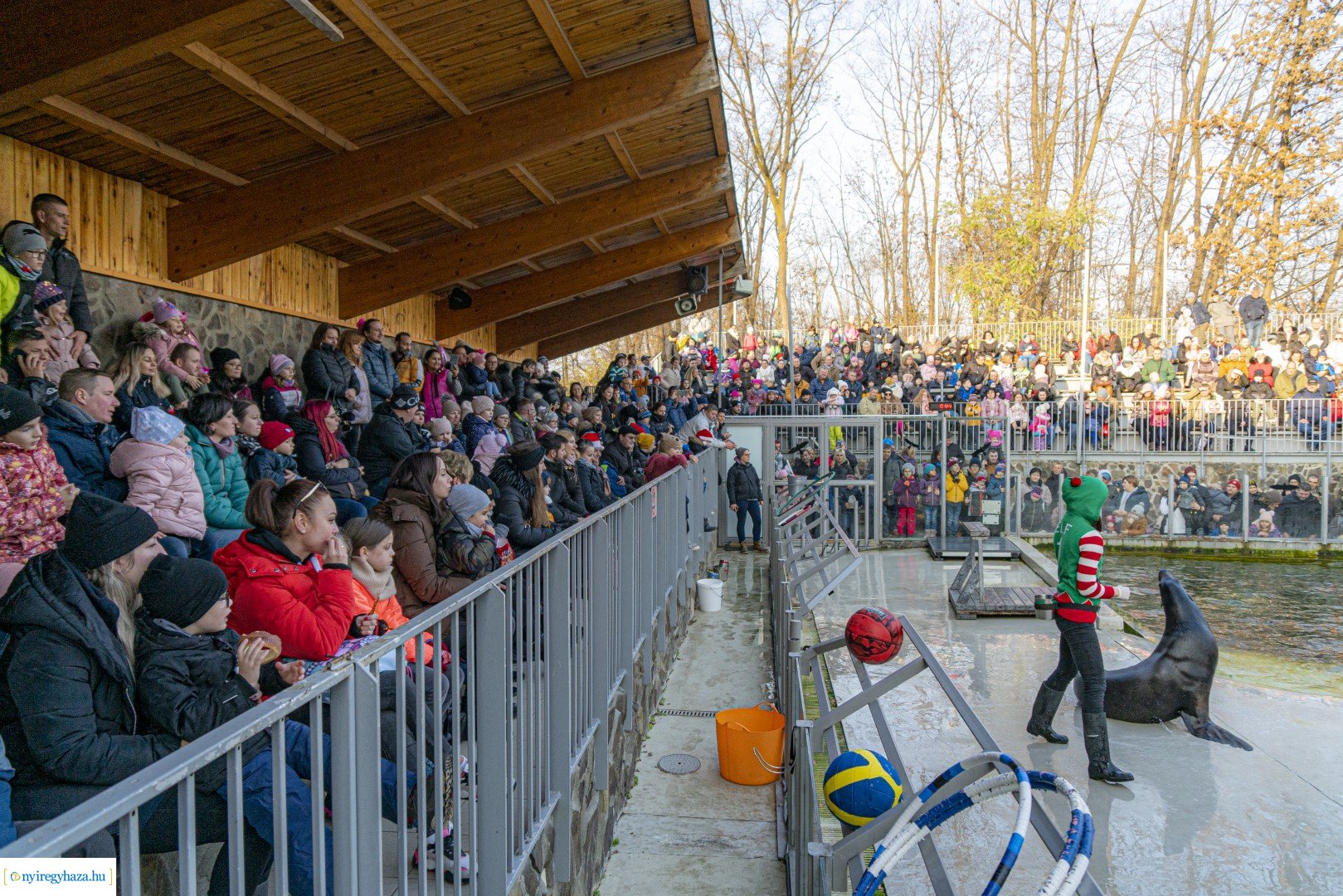  A nagy Mikulás kaland a Nyíregyházi Állatparkban