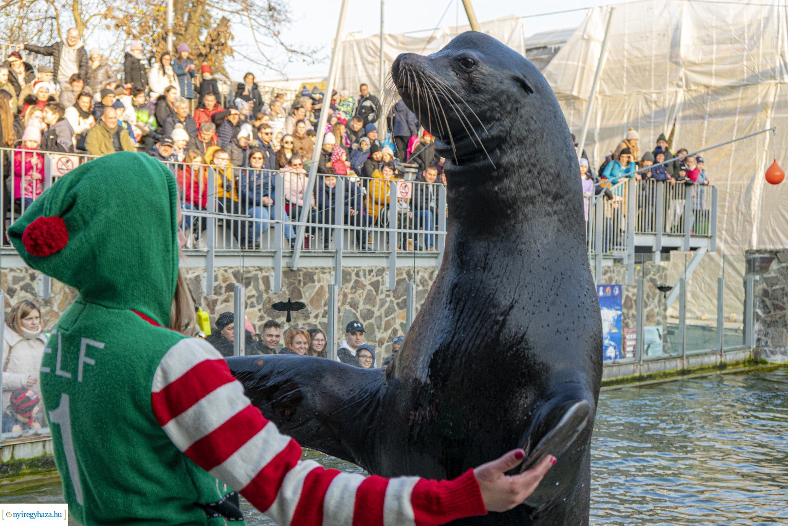  A nagy Mikulás kaland a Nyíregyházi Állatparkban
