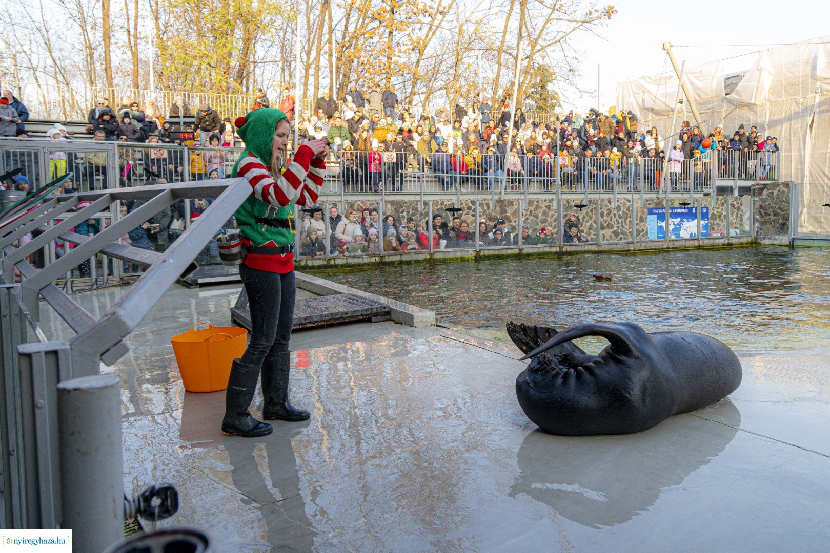  A nagy Mikulás kaland a Nyíregyházi Állatparkban