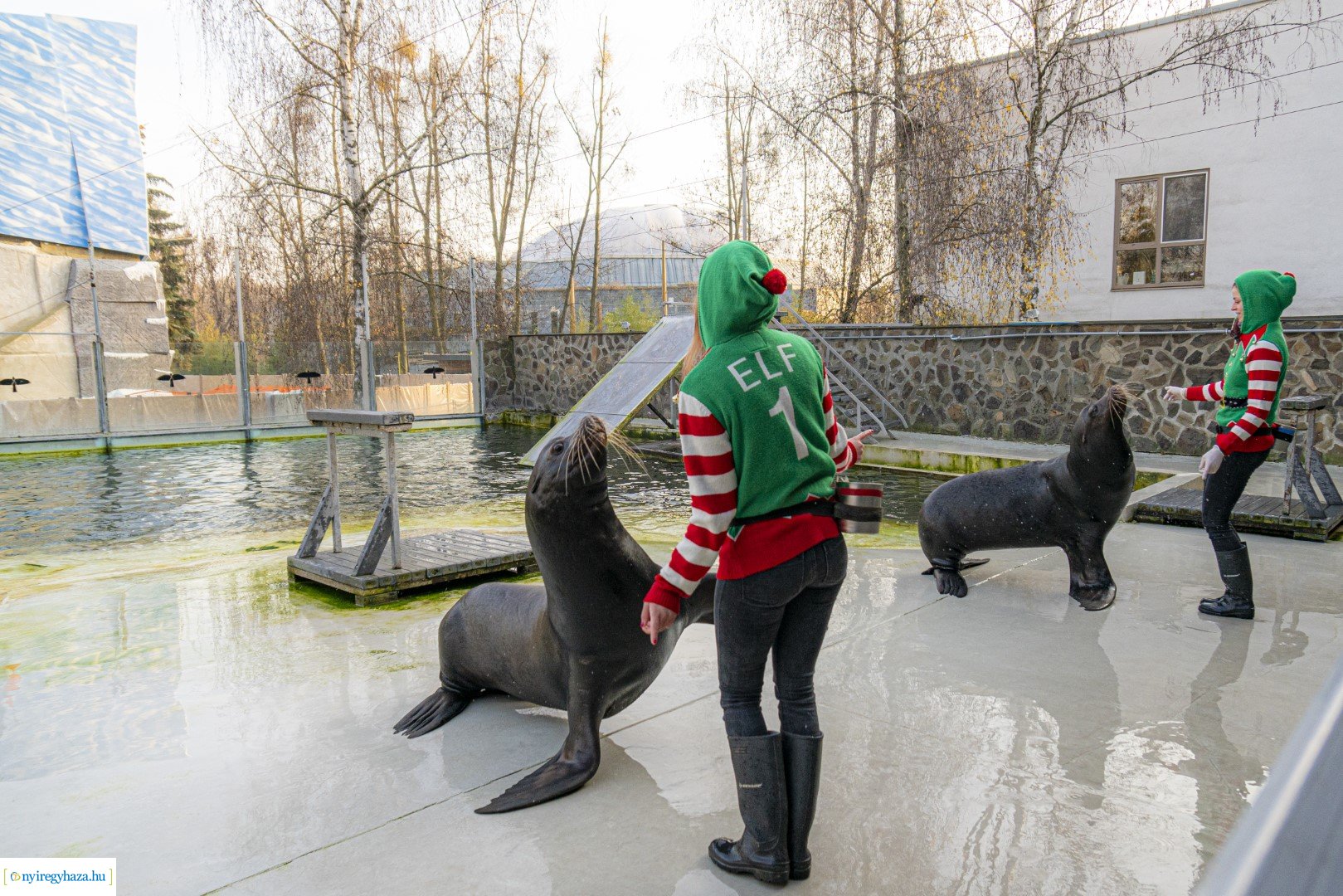  A nagy Mikulás kaland a Nyíregyházi Állatparkban