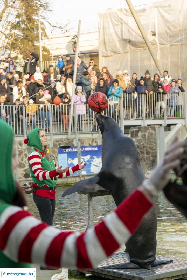  A nagy Mikulás kaland a Nyíregyházi Állatparkban