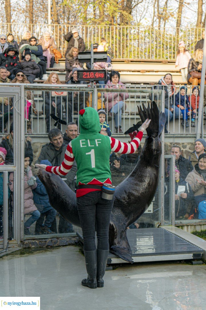  A nagy Mikulás kaland a Nyíregyházi Állatparkban