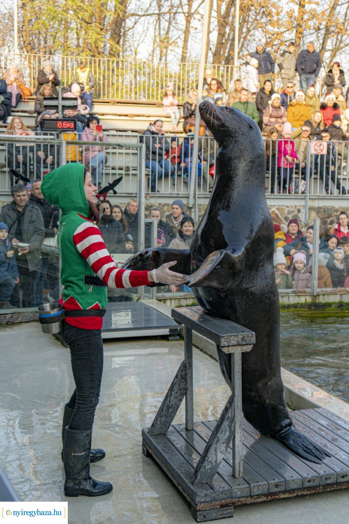  A nagy Mikulás kaland a Nyíregyházi Állatparkban