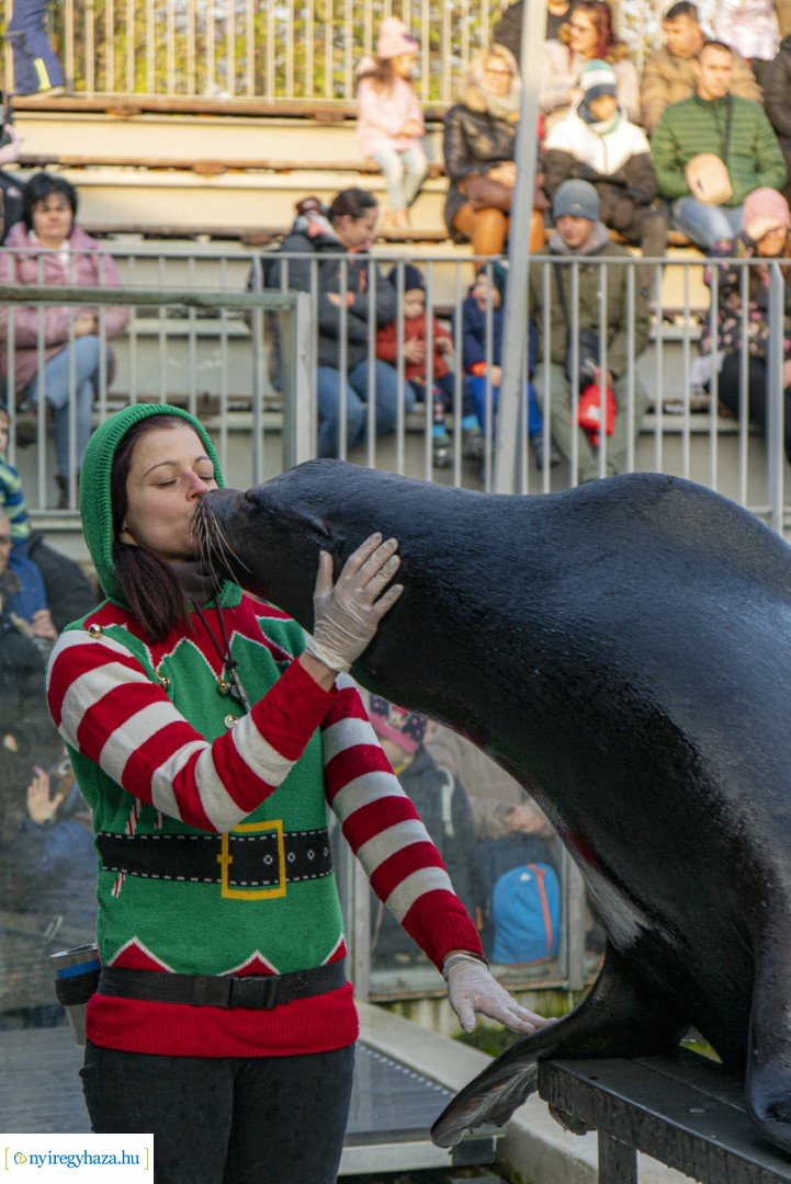  A nagy Mikulás kaland a Nyíregyházi Állatparkban