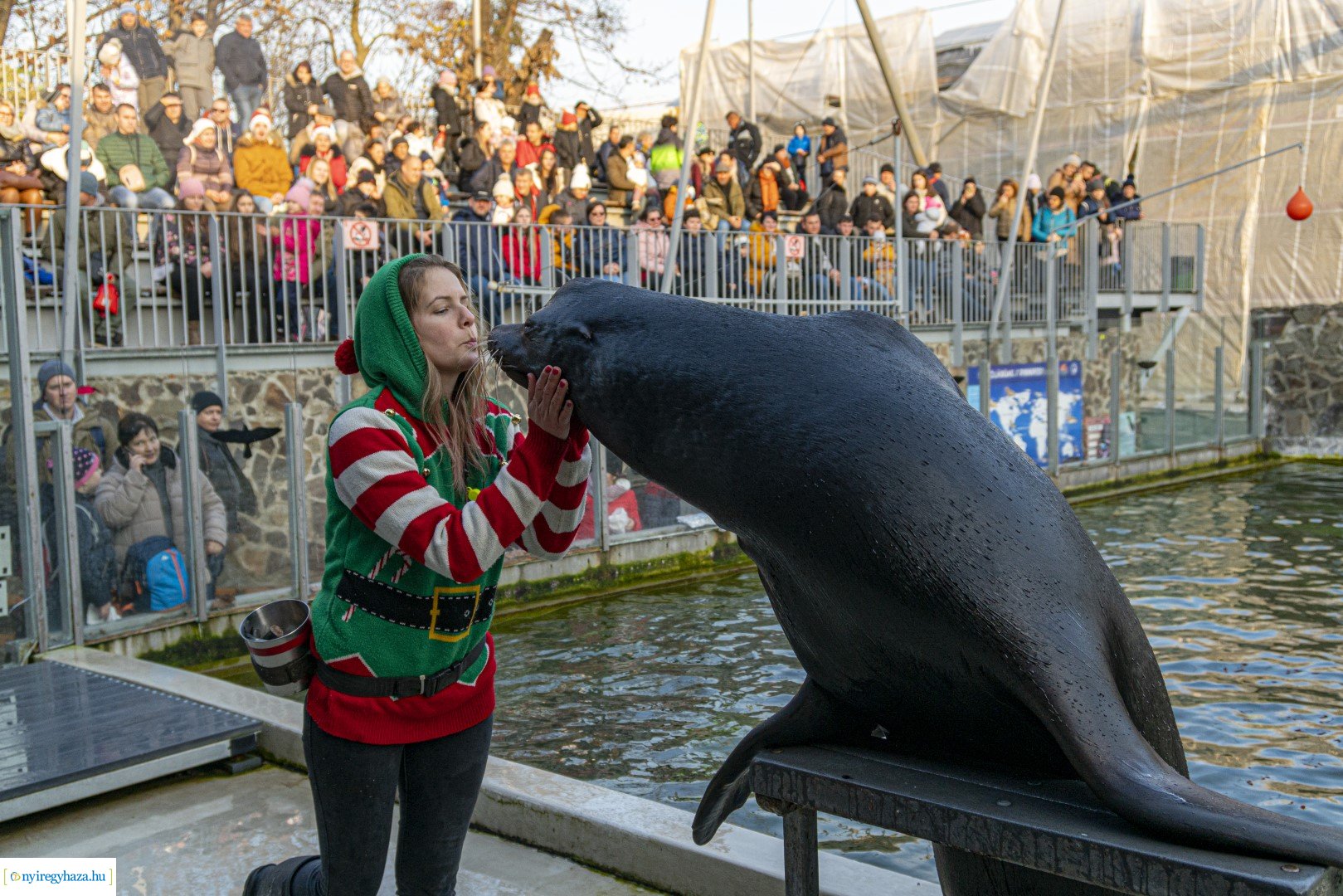  A nagy Mikulás kaland a Nyíregyházi Állatparkban