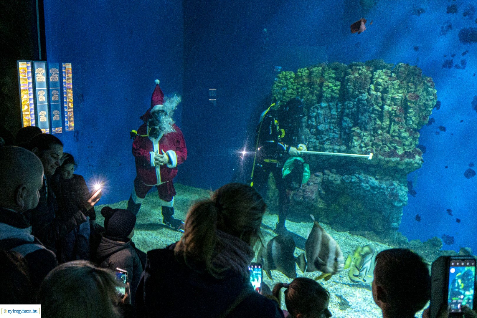  A nagy Mikulás kaland a Nyíregyházi Állatparkban