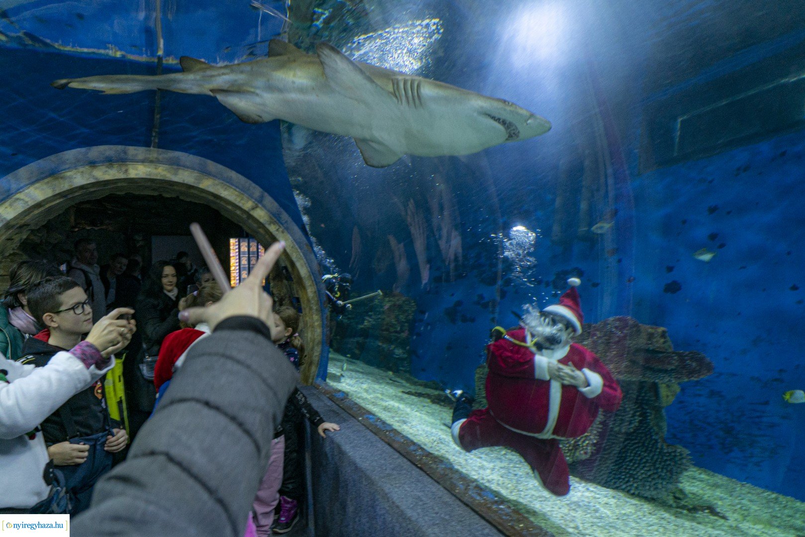  A nagy Mikulás kaland a Nyíregyházi Állatparkban