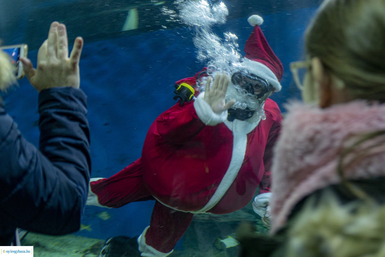  A nagy Mikulás kaland a Nyíregyházi Állatparkban