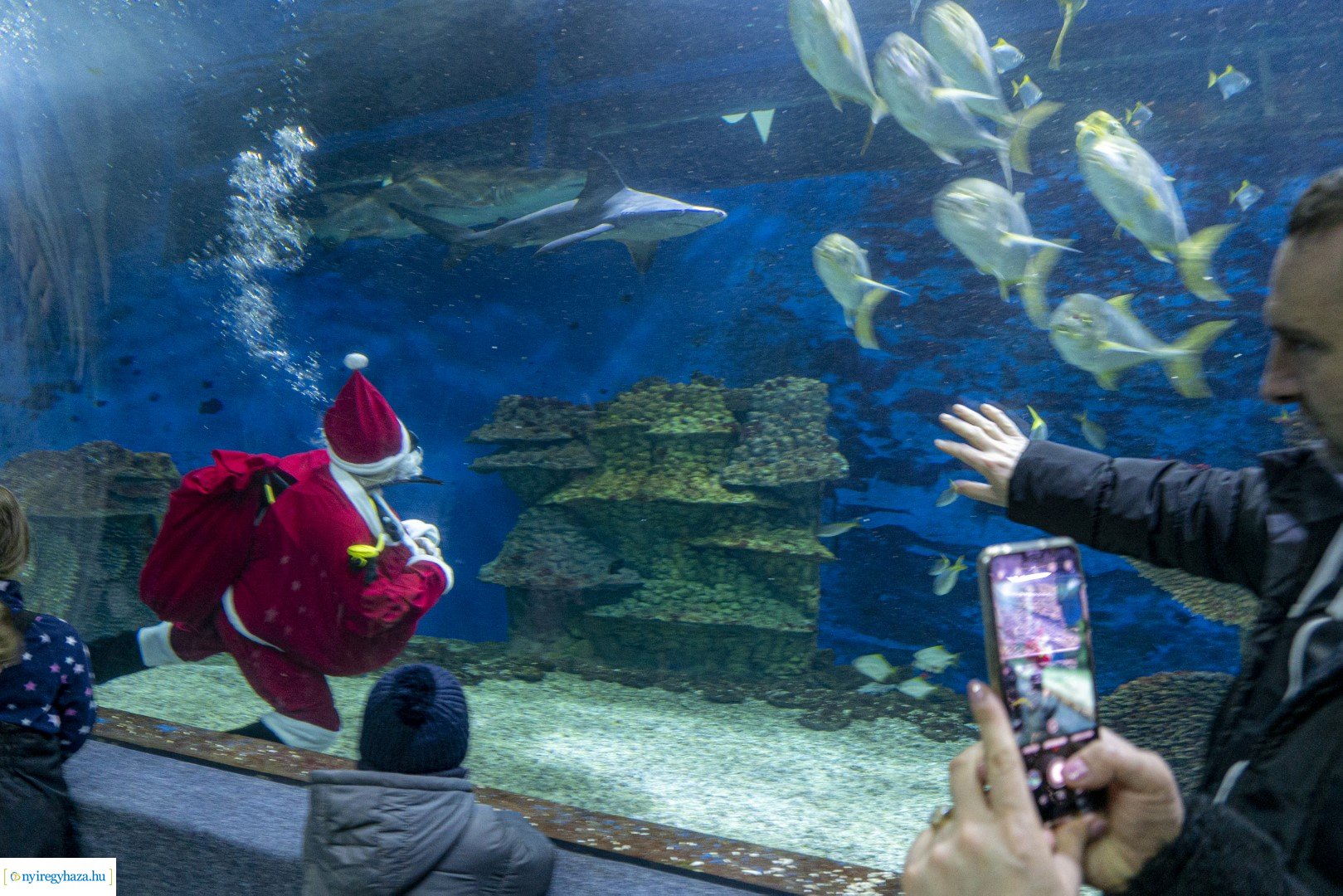  A nagy Mikulás kaland a Nyíregyházi Állatparkban