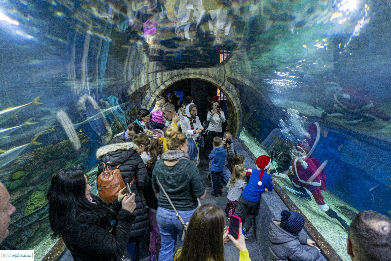  A nagy Mikulás kaland a Nyíregyházi Állatparkban