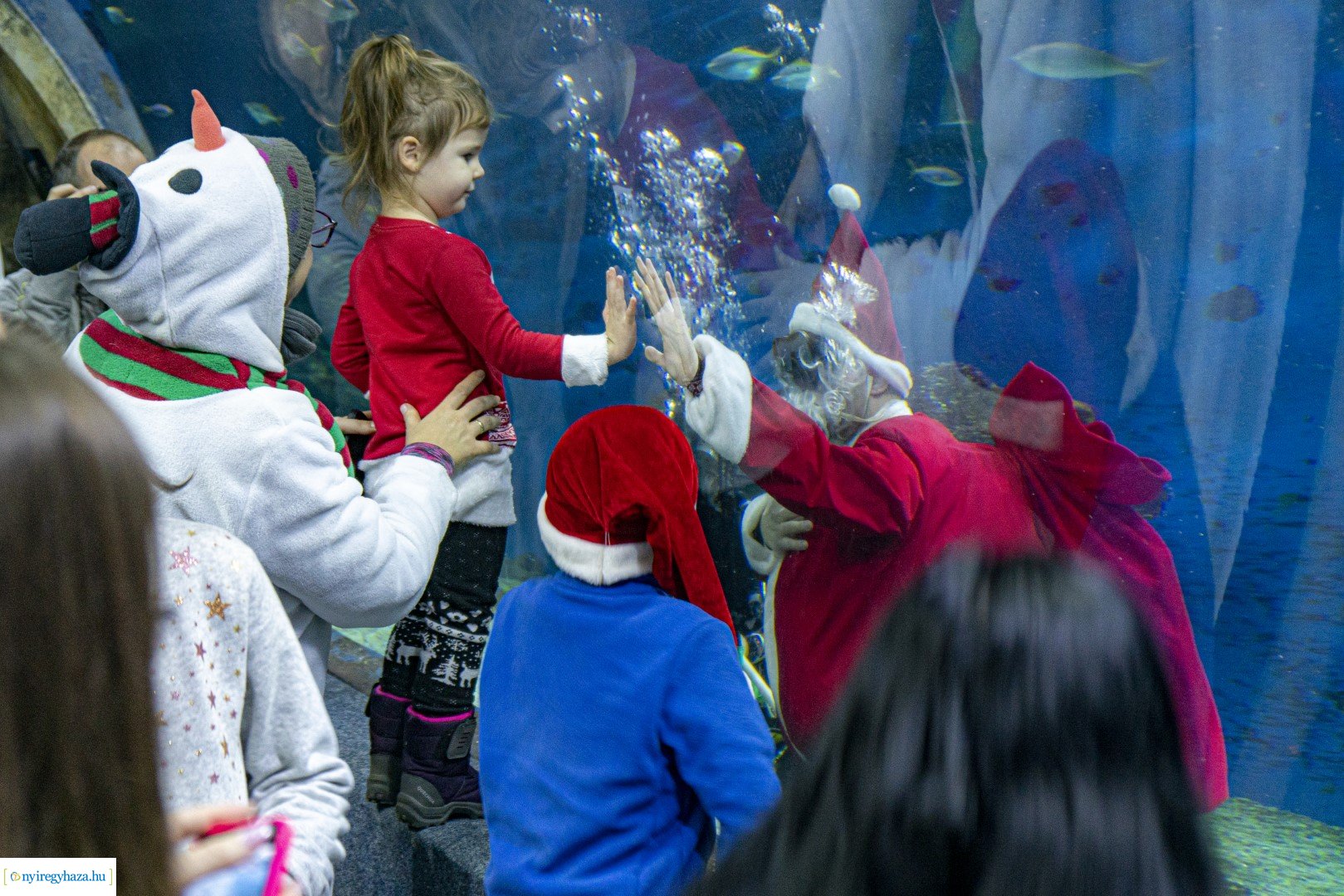  A nagy Mikulás kaland a Nyíregyházi Állatparkban