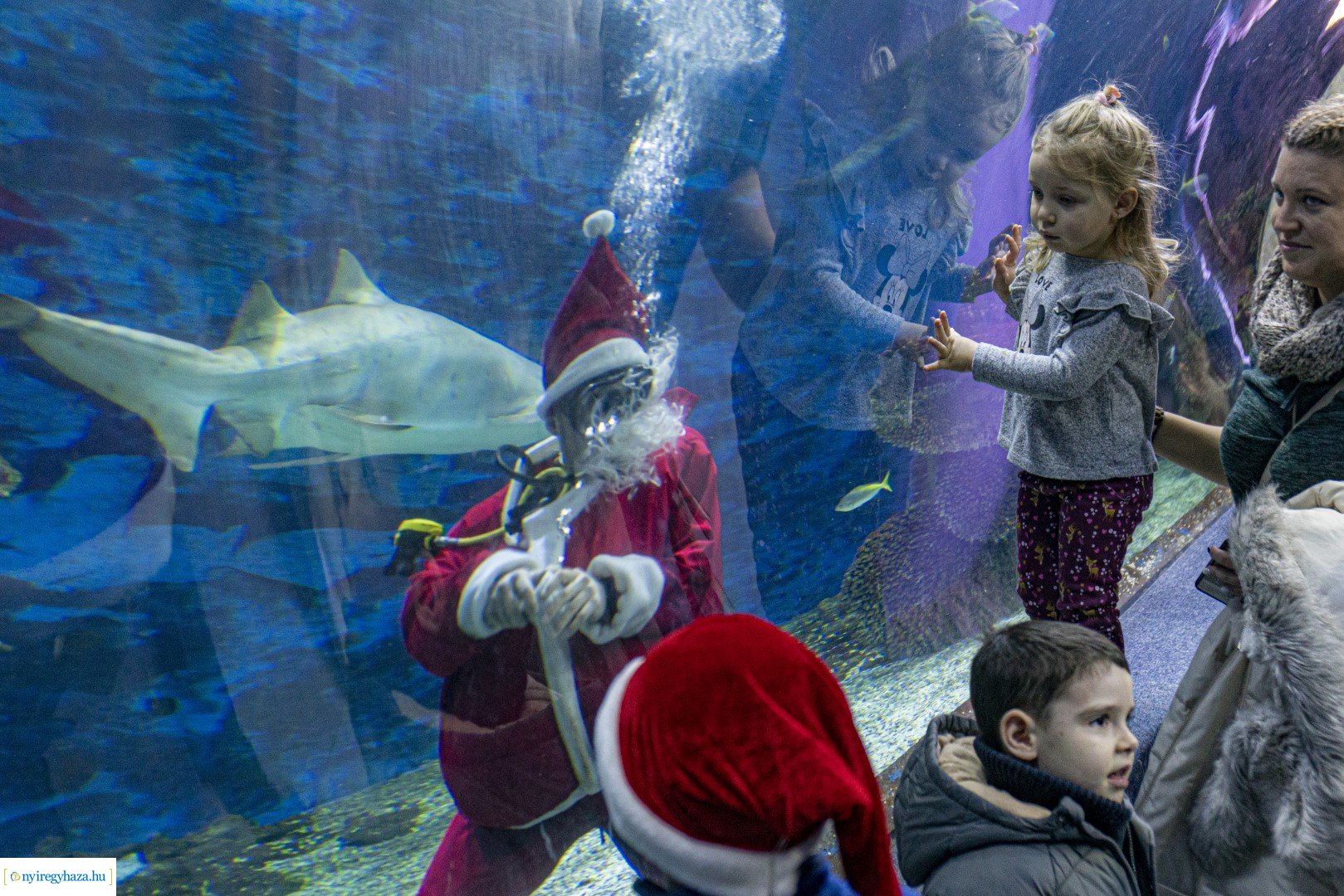  A nagy Mikulás kaland a Nyíregyházi Állatparkban