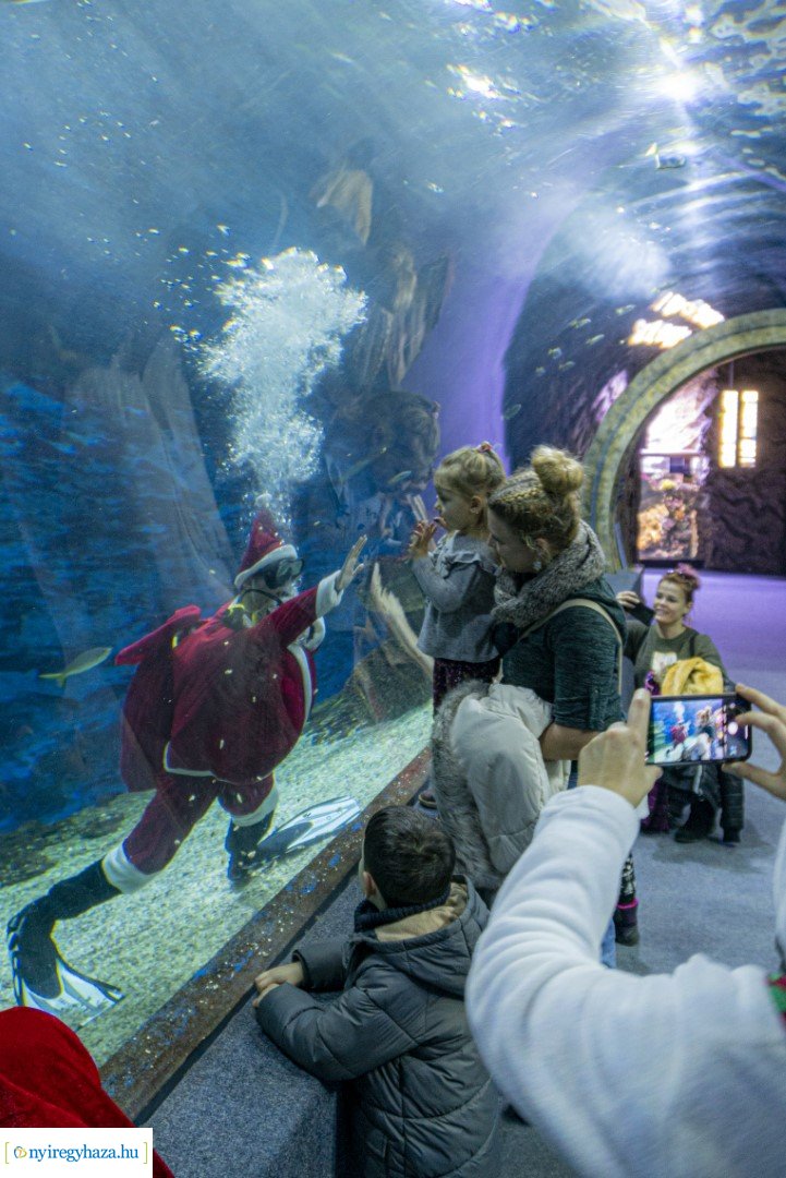  A nagy Mikulás kaland a Nyíregyházi Állatparkban