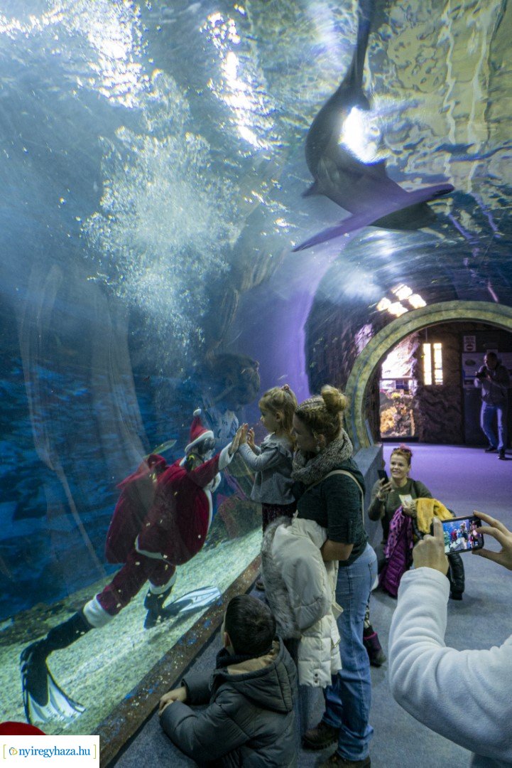  A nagy Mikulás kaland a Nyíregyházi Állatparkban