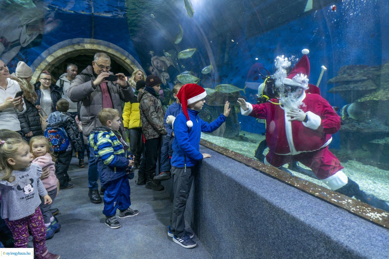  A nagy Mikulás kaland a Nyíregyházi Állatparkban