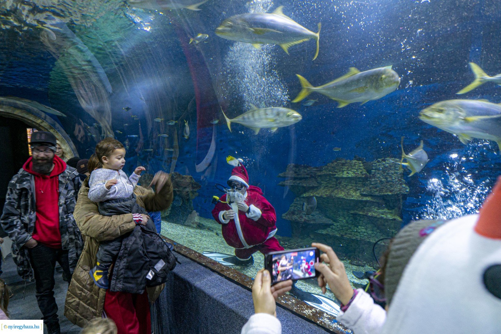  A nagy Mikulás kaland a Nyíregyházi Állatparkban