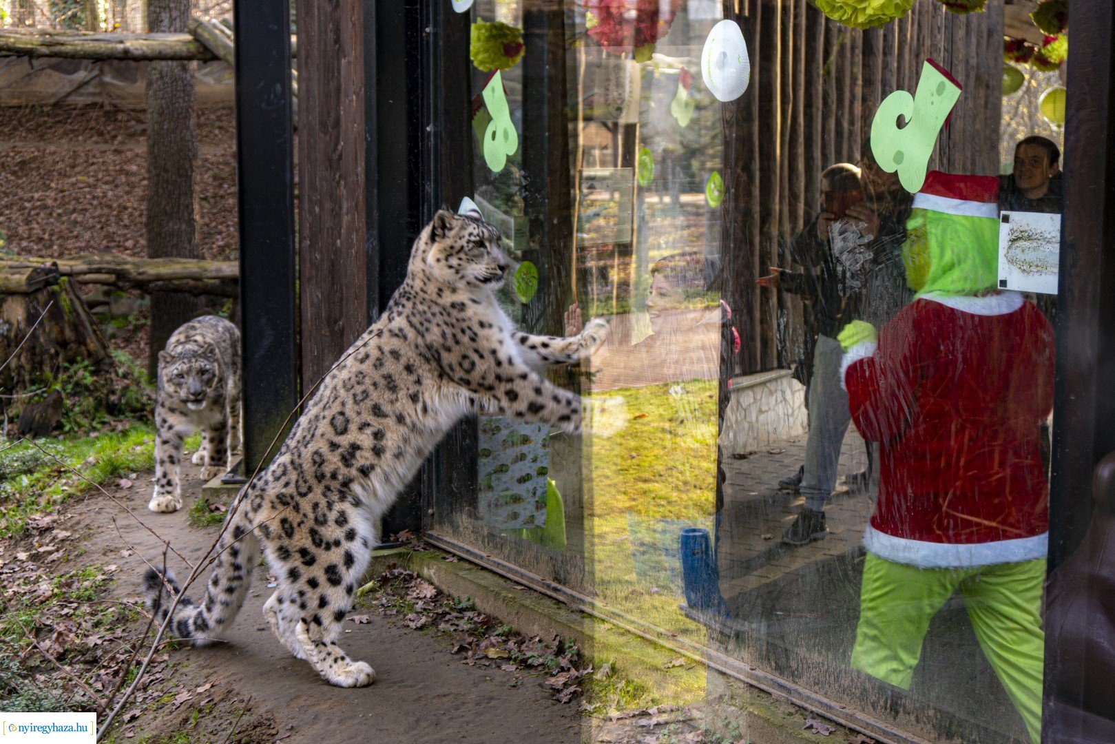  A nagy Mikulás kaland a Nyíregyházi Állatparkban