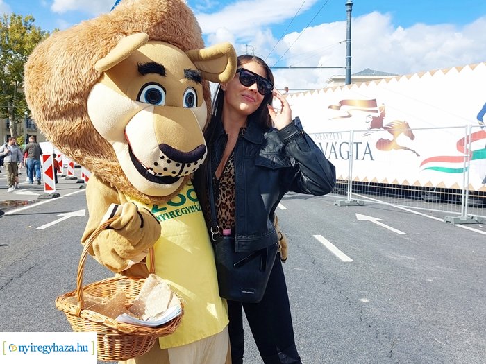 A Nemzeti Vágtán kelt életre a Nyíregyházi Állatpark oroszlánja 