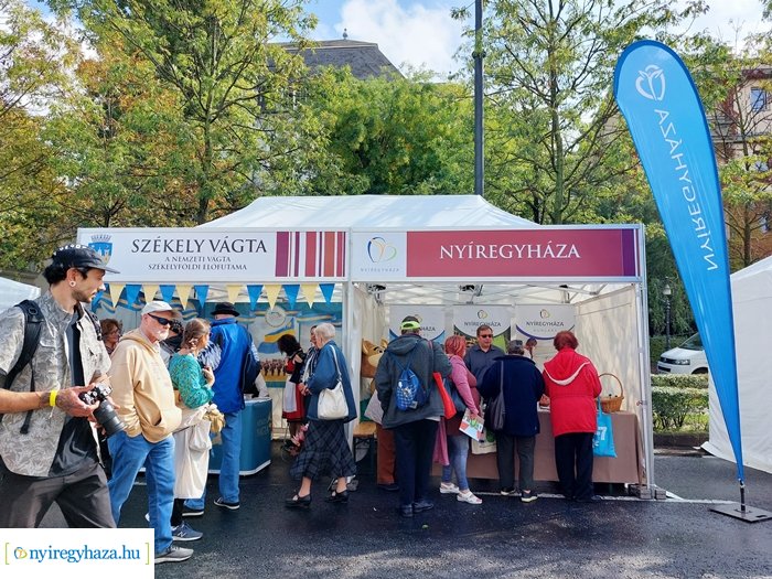 A Nemzeti Vágtán kelt életre a Nyíregyházi Állatpark oroszlánja 