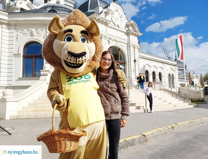 A Nemzeti Vágtán kelt életre a Nyíregyházi Állatpark oroszlánja 